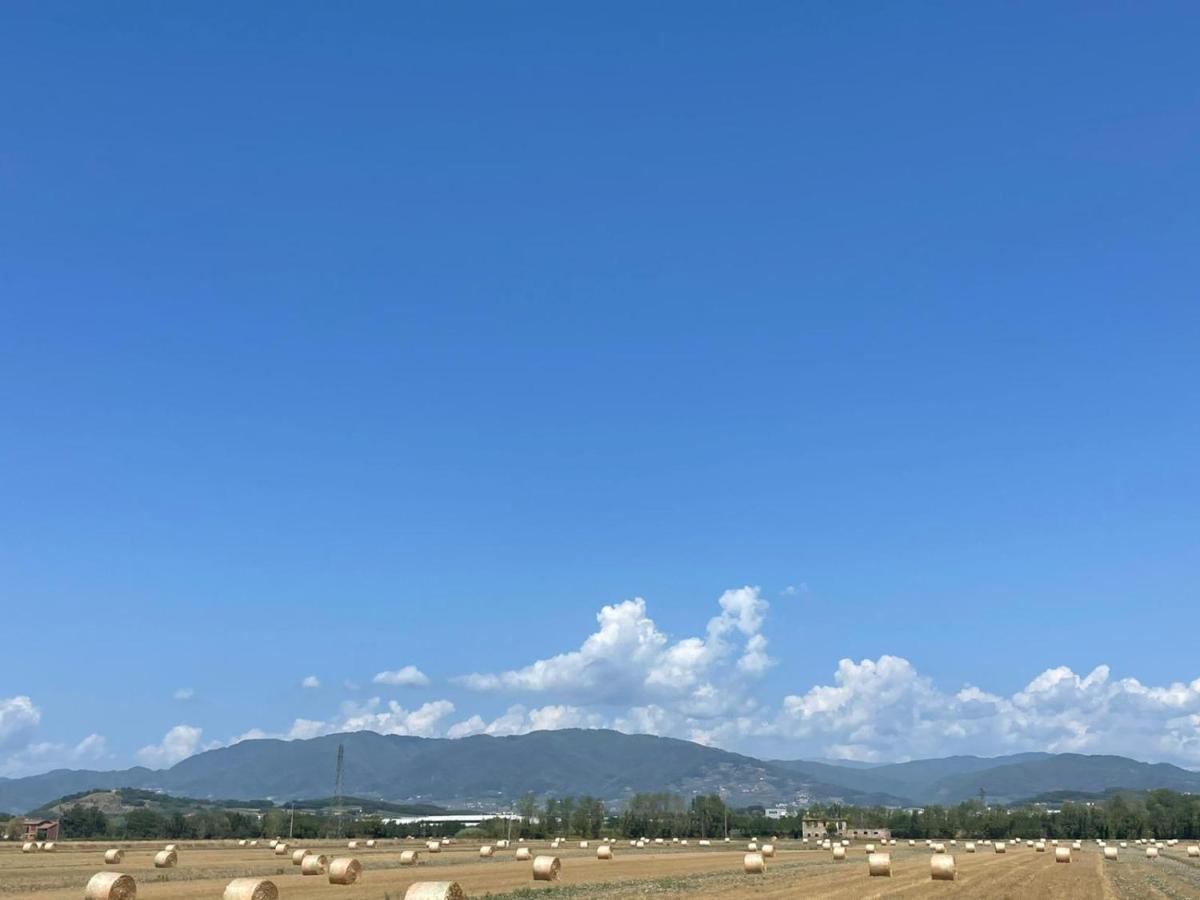 Lucca Holiday Rental- By The Walls N 395 Экстерьер фото